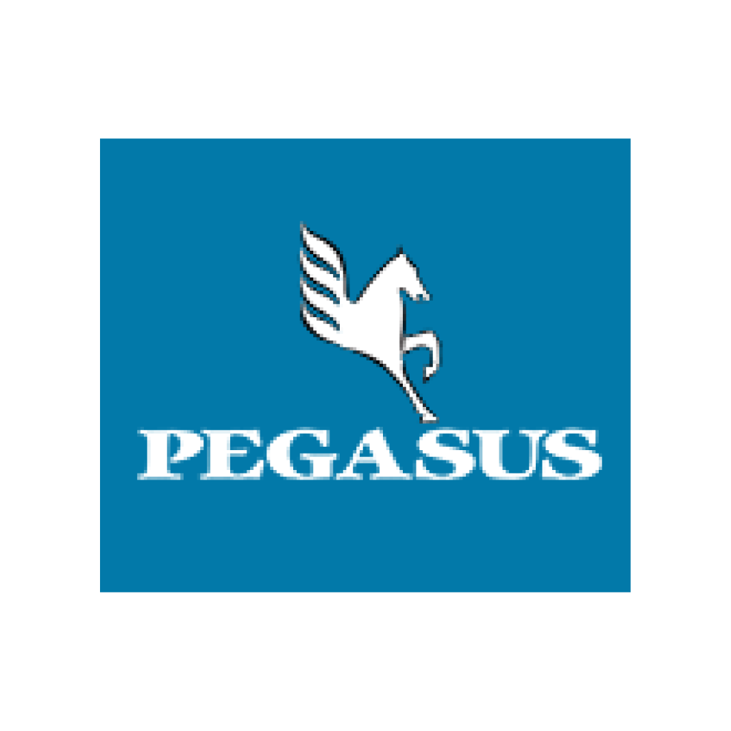 Pegasus