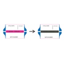 Printex Steam Process Indicator Double Adhesive Batch Labels Blue Roll Of 700