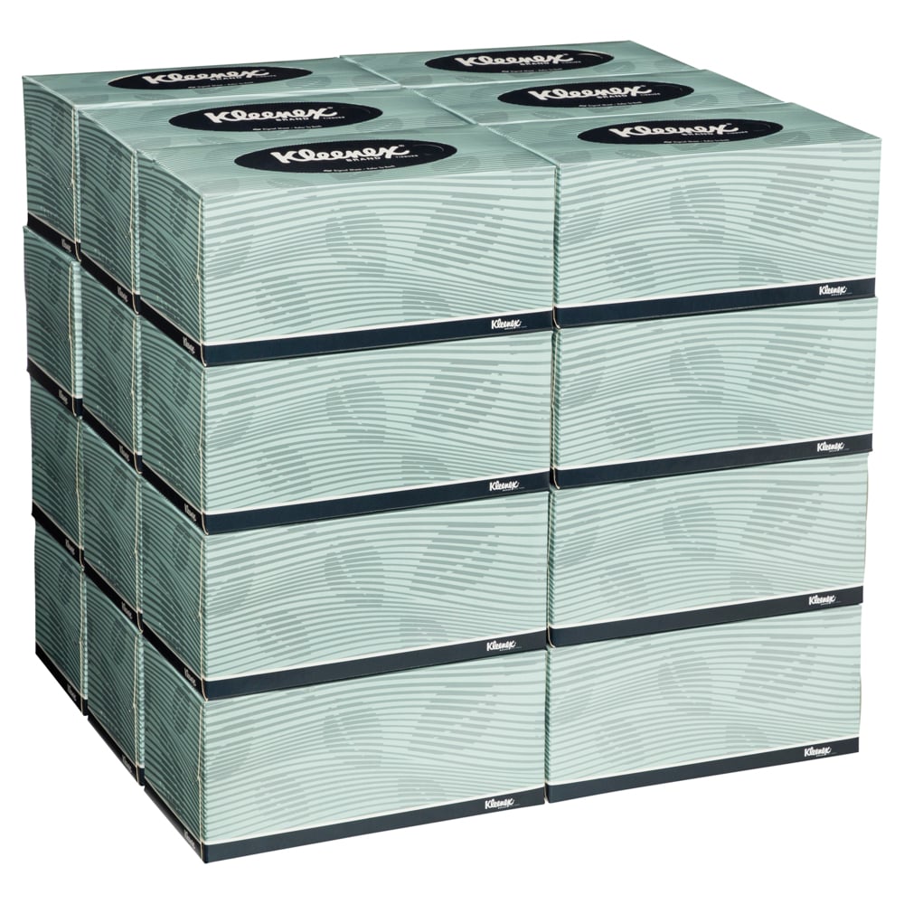 Kleenex Facial Tissue 2 Ply 200 Sheets Carton Of 24 