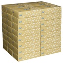 Scott Facial Tissues 2 Ply 100 Sheets KC4725 Carton Of 48