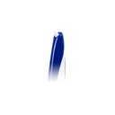 Caredent Denture Brush