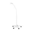 Pacific Medical FlexLED Examination Light Desk Mount Permanent With Screws