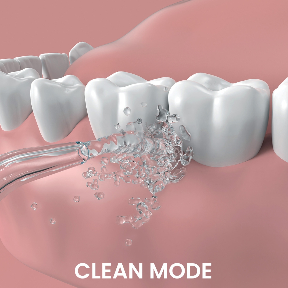GO2 Dentagenie Water Flosser