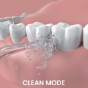 GO2 Dentagenie Water Flosser