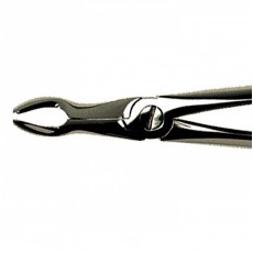 Duralast Forcep Extraction #7 Upper Pre Molar