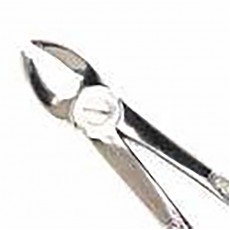 Duralast Forcep Extraction #92 Upper Molar Right