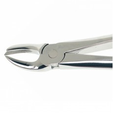 Duralast Forcep Extraction #89 Upper Molar Right Cow Horn