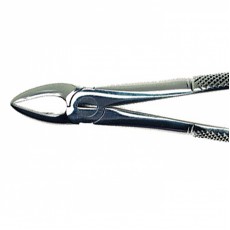 Duralast Forcep Extraction #29 Upper Roots