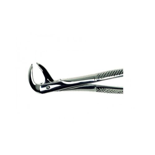 Duralast Forcep Extraction #73 Lower Molar