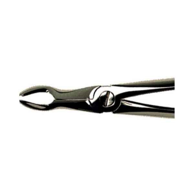 Duralast Forcep Extraction #67 Upper Wisdoms