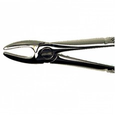 Duralast Forcep 1 Upper Centrals