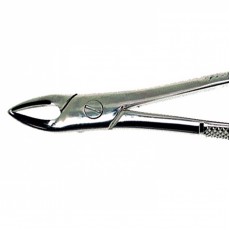 Duralast Forcep Extraction #76 Upper Roots Read