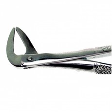 Duralast Forcep Extraction #74 Lower Roots