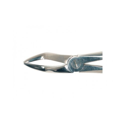 Duralast Forcep Extraction #52 Bayonet