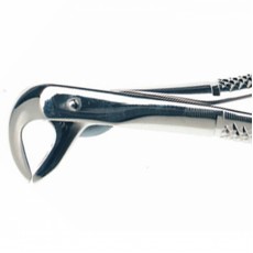 Duralast Forcep Extraction #37 Childs Upper Incisor