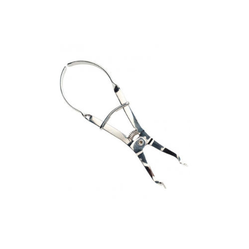 Rubber Dam Clamp Forcep Ivory