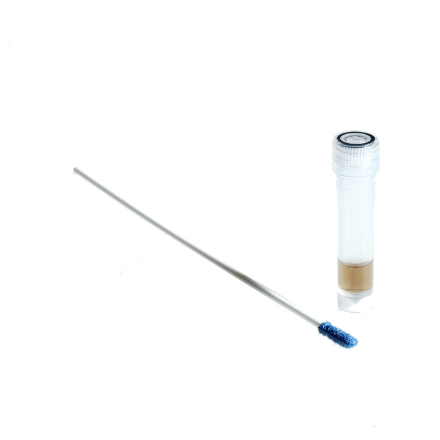 Getinge Assured Protein Test Instrument Lumen 6 Inch Swab 503911200 Pack Of 25