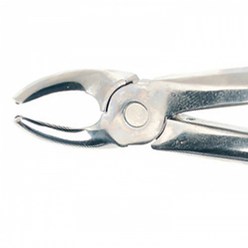 Duralast Forcep Extraction #19 Upper Wisdom