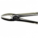 Duralast Forcep 1 Upper Centrals