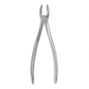 Julius Wirth Forceps European Style #1